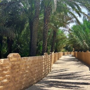 Al Ain Oasenstadt
